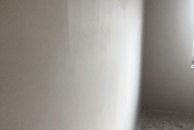 Referencie / salamander14 - foto Referencie / salamander14 - foto